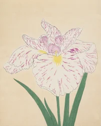 Uji-No-Kawagiri, No. 55, 1890